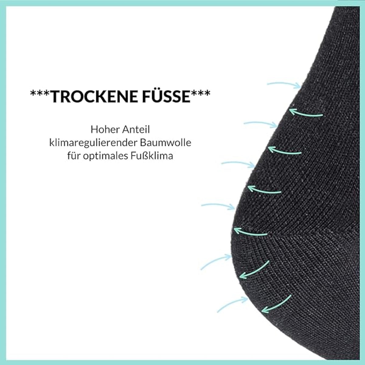 Footnote Baumwollsocken - hochwertig, atmungsaktiv, Premium Qualität - 10 Paar