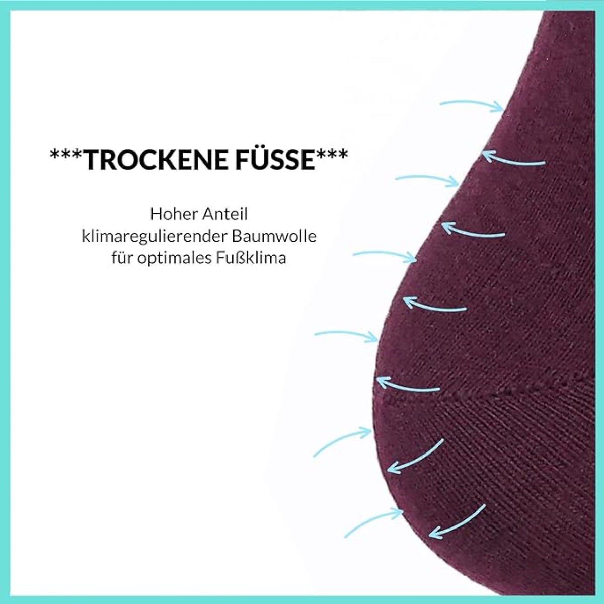 Footnote Baumwollsocken - hochwertig, atmungsaktiv, Premium Qualität - 10 Paar